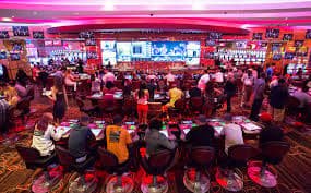Dashboard outright betting donasibet menampilkan status taruhan terbuka dan estimasi odds